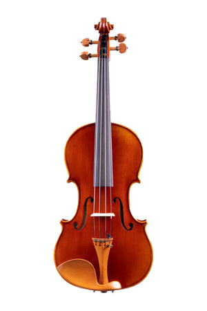 Two Pieces Back Violin 4/4 Handmade in Romania #46