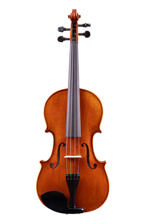 Vivarius Workshop Viola 16' - Hand-Made in Romania #21