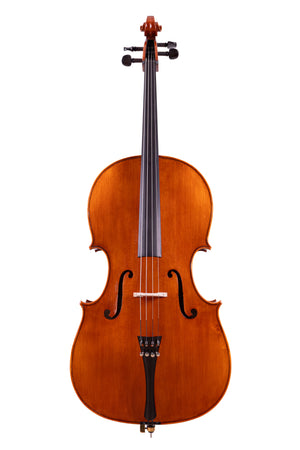 Testore Cello 4/4 One Piece Back Hand-Made in Romania #100