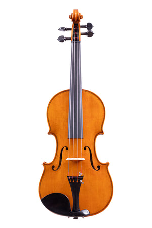 Nelu Dan's Master Violin  4/4 Made in Romania #164